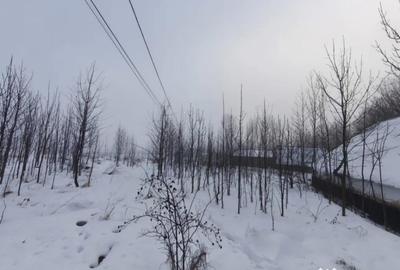 Casă cu 3 camere cu Teren 5000 Mp în Negostina - 4