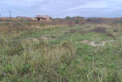 RECO Teren intravilan, Osorhei - 2