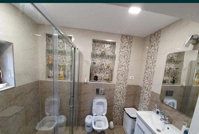 De vanzare sau inchiriere Casa P+1 Bariera Valcii - 8