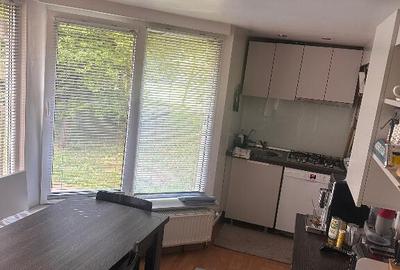 Apartament 3 camere decomandat in Deva, zona Saturn, parter, mobilat - 9