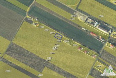 Teren 428mp ideal pentru casa in Dragomiresti-Vale - 3