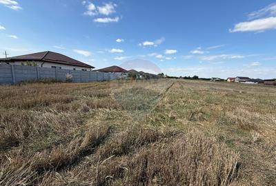 Vand teren intravilan 10.000 mp in Sabareni - 10