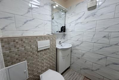 Garsonieră semidecomandată, mobilată în Buziașului - 5