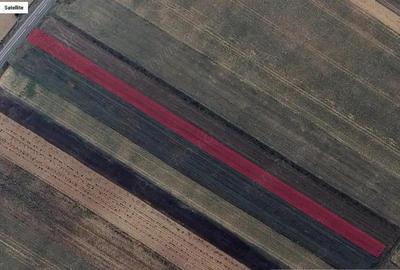 Teren de 2900 mp, în Tărlungeni - 1