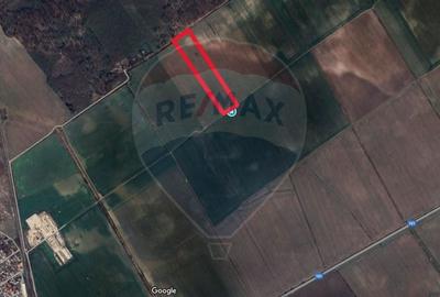 Teren intravilan Buftea, langa Padurea Mocanului - 4