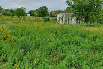 Spațiu comercial, în Cantemir - 8