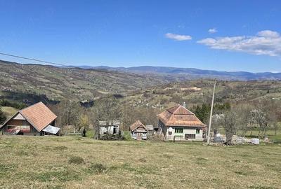 Teren de 23000 mp, în Sohodol - 1