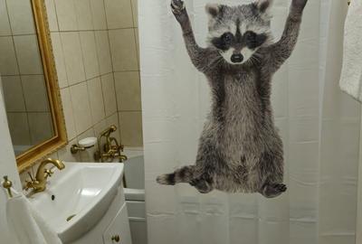 Garsonieră semidecomandată, mobilată în Titan - 5