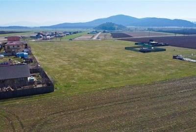 Teren intravilan 18.200mp, cu PUZ si PUD, ideal constructi case, Bod, Brasov. - 21