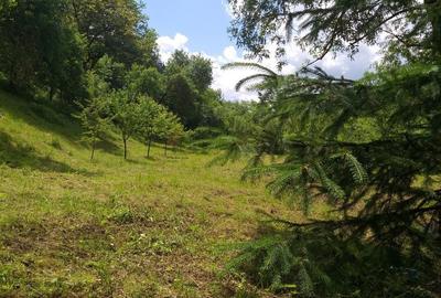 Teren de 2800 mp, în Micești - 4