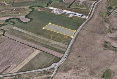 Teren de 40000 mp, în Dumbrăvița - 2