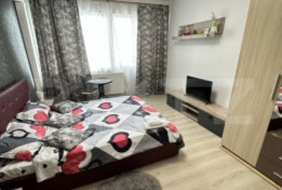 Loca?ie premium garsoniera de inchiriat in inima Dev - 9