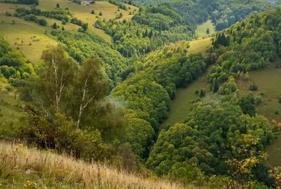 Teren de vanzare priveli?te superba | Acces drum | Forma regulata - 4