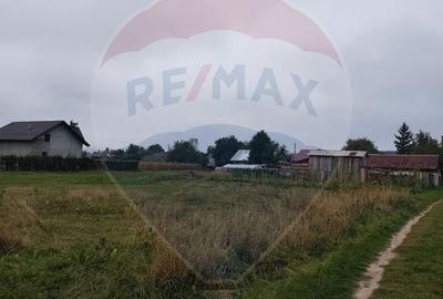 Teren Construcții intravilan de 5000 mp, în Călugăreni - 3