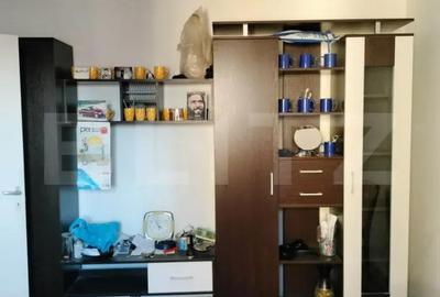 Apartament cu 2 camere semidecomandat, mobilat în Mureșeni - 5