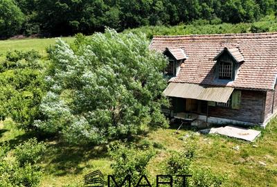 Teren extravilan 5000mp zona Cisnadie - 3