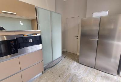 De inchiriat vila in zona Gradina Icoanei - 3