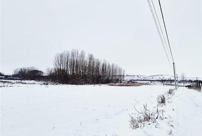 Teren agricol extravilan de 5132 mp, în Nord - 1