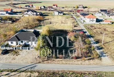 Teren intravilan imprejmuit, vegetatie matura 1200mp Sag Manastire - 6