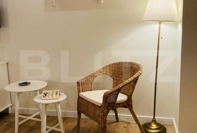 Apartament cu 2 camere decomandat, mobilat în Horea - 11