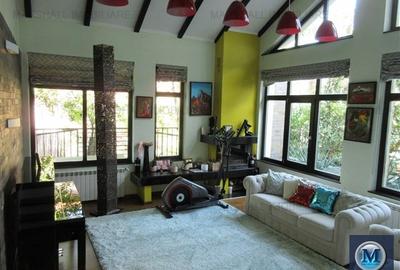 Vila cu 4 camere de vanzare, zona Ultracentral, 332 mp #14427 - 2