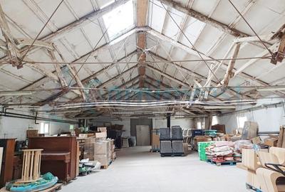 Spațiu industrial, de 1,290 mp, în Sălard - 13