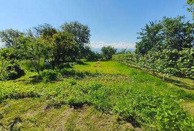 Casă cu 2 camere în Săcădate - 8