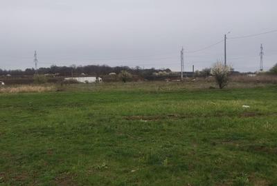 Teren pretabil hala industriala/rezidential Catelu - 2