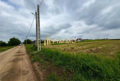 Teren Construcții extravilan de 6015 mp, în Moara - 3