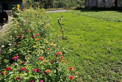 Casă cu 4 camere decomandat cu Teren 800 Mp în Vama Buzăului - 7