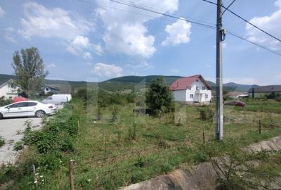 Exclusivitate!! Teren intravilan 12 ari, Sieu Magherus - 2