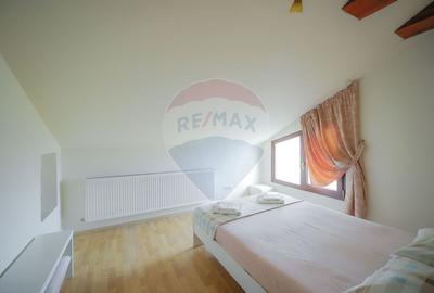 Hotel/Pensiune, de 438 mp, în Nufărul - 33