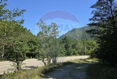 Teren 4,000mp Pascoaia / Soseaua Punctul Chiliilor - 9