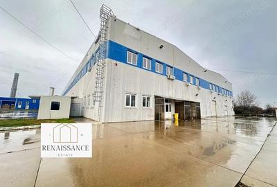 Hala Moderna 6200mp | Panouri Solare - Freidorf - Acces la Centura - 3