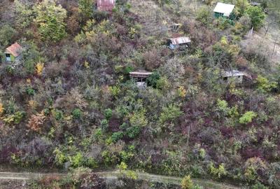 Teren 18,300mp Ghioroc - 11