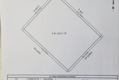 Spațiu comercial, în Răchiți - 5