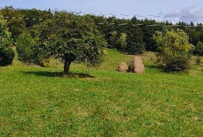 Teren intravilan situat in Traisteni - 3