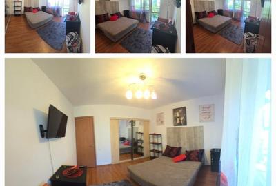 2 camere, in vila, la curte comuna, centrala, pet friendly, Gorjului 2 camere, in vila, la curte comuna, centrala, pet friendly, Gorjului - 7