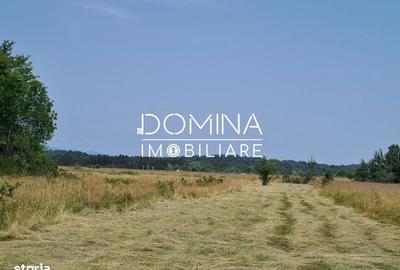 Teren de 178599 mp, în Runcu - 1