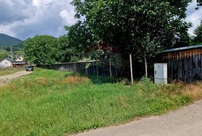 Teren intravilan 1000 mp Vii?oara, utilita?i - 6