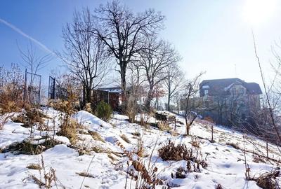 Teren Intravilan - Zona Drumul Poienii - 6