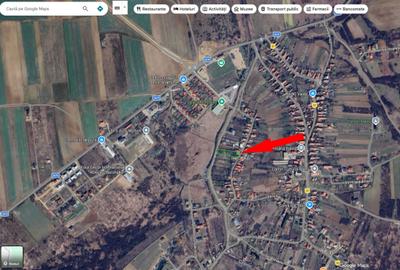 Casă cu 2 camere în Paleu - 2