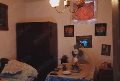 Casa Deta de vanzare. - 2
