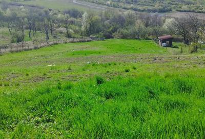 Spațiu comercial, în Săldăbagiu de Munte - 4