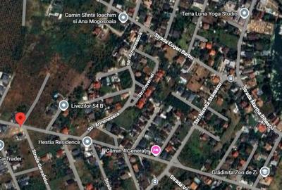 Teren 892 MP SITUAT IN MOGOSOAIA ILFOV - 5