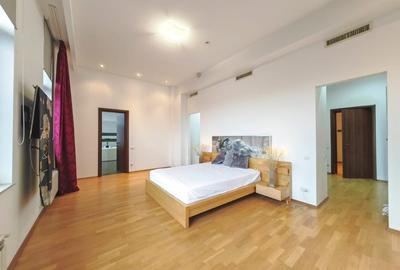 Lux si rafinament: Penthouse cu terasa panoramica langa Ambasada SUA si Padurea - 11