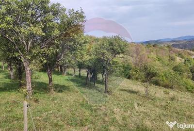 Teren de 3082 mp, în Damiș - 13
