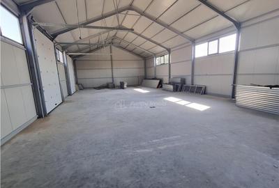 HALA 240 mp Constructie Noua Alexandria - 5