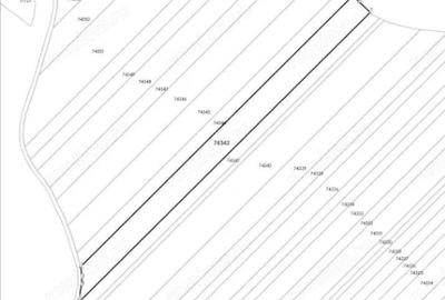 Teren de 10000 mp, în Uliești - 3