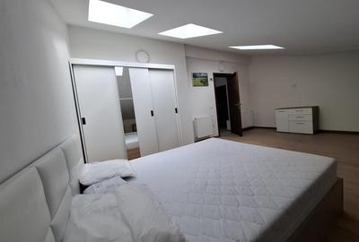 Apartament cu 2 camere decomandat, mobilat în Apărătorii Patriei - 15